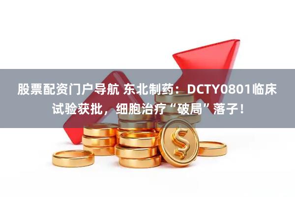 股票配资门户导航 东北制药：DCTY0801临床试验获批，细胞治疗“破局”落子！
